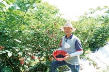 무의도를 다시 찾다! 복분자 주스 한잔을 위해