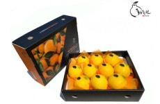 쟈넷라이브와 황금원, 제주 황금향 추석선물세트 라이브 커머스 진행