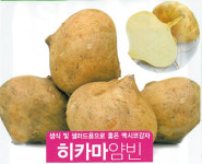 미래농업, 아열대 품종 준비로 대비