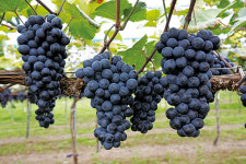 농업·농촌, 새 희망을 보다