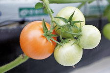 농업·농촌, 새 희망을 보다