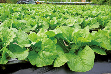 농업·농촌, 새 희망을 보다