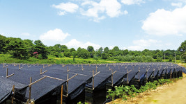 농사에도 스토리텔링이 필요하다