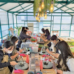 히카마 재배와 체험농장, 투트랙으로 승부