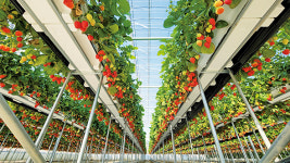 스마트큐브, 똑똑한 온습도 제어에 난방비 절감까지!