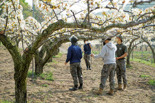 40년 배 장인은 하루도 쉬지 않는다