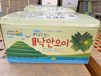 저온기에서도 다수확하는 취청오이 낙안