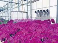 다가올 혹서기 스마트 제습냉난방기 활용으로 수확량, 상품성↑ 다습병해, 유지비↓