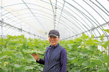 건강한 농산물 제공하기 위한 친환경 재배