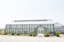 편안한 마음으로 치유할 수 있는 공간, 팜앤트리