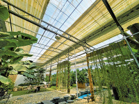 파프리카 농장에서 아열대 식물원으로의 대변신!