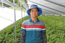 진안, 주요 인삼 주산지로 급부상…전국 생산량의 15% 생산
