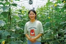 워킹맘에서 오이 농사꾼으로의 변신