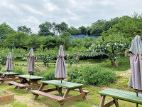 안나농원에서 행복을 두 배로 가져가세요