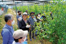 세계적인 천황대추 재배농법을 전파하다!