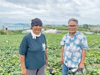 해수농법 통한 친환경 고구마 전도사