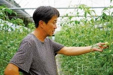 퇴촌토마토, 그 명성을 이어나가기 위해