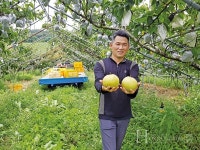 달고 아삭한 식감, 우리 배 설원을 아시나요