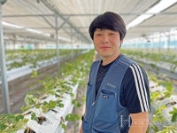 딸기가 행복한 농장… 고품질 딸기 생산
