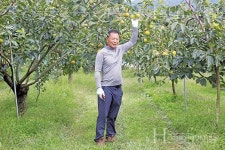 부자(父子)가 부자(富者)를 꿈꾸며 키운 단감