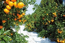 자연과 인간의 건강을 지키는 농업 마이스터