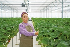 논산 딸기의 명성, 스마트팜으로 더욱 공고히!