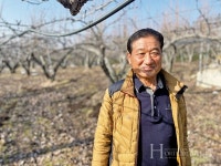 4대째 풍부한 일조량으로 만든 명품 배
