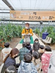 서울 근교 감귤 농장… 체험학습으로도 최고
