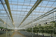 한국의 제스프리를 꿈꾸는 우공의 딸기정원