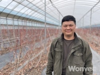 당도 높은 블루베리로 부농을 일군다