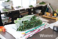 차별화된 농법으로 고품질 작물 생산하다