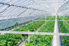 ㈜세진케미칼, 비닐비지니스와 국내기술로 개발된 PO필름 양사 총판 계약 협약 체결 진행