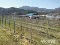 장수사과 3세대를 준비하는 2세대 청년농부들