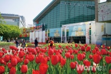꽃을 향유하는 문화 축제의 장이 펼쳐지다