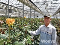 국산장미 전초기지를 지키는 국산장미 선봉장