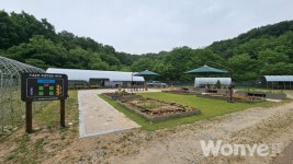 신나는 도시농업, 행복한 치유농업  세종시민 모두가 즐거운 농업활동