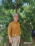 여름 복숭아의  떠오르는 최강자,  양하비
