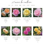 가드닝의 새로운 패러다임을 추구하다