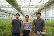 오랜 염원이었던 감초 국산화의 길이 열리다