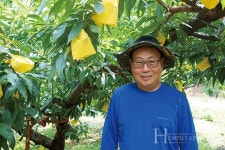 황도의 본고장, 장호원복숭아 축제에 오세요~