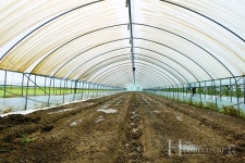 휴지기는 땅을 놀리는 것이 아니라 장기적인 투자입니다