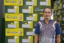 고품질 멜론, 해외 수출로 일석이조 이루다!