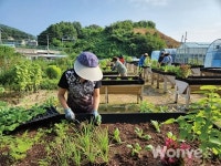 건강한 치유 퍼머컬처,  남양주 도시농업