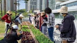 도시농업으로  도시를 새롭게,  시민을 빛나게 하다