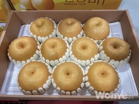 모두가 만류한 신화배로  전국 품질 품평회 대상