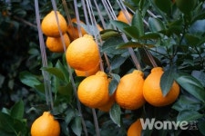 쉽고 편안하게, 그러나 고소득으로 알차게!