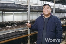 소비자·농가 취향 모두 고려한  백색 양송이 이담