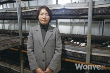 소비자·농가 취향 모두 고려한  백색 양송이 이담