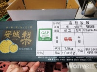 당도·품질 올려서 소비자들에게  인정받고 싶다