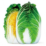 2024년 2월 이달의 추천품종